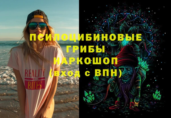 гашик Михайловка