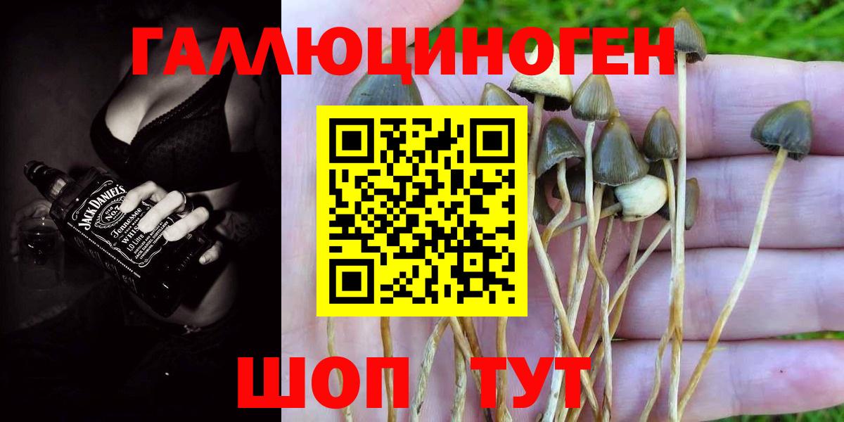 Галлюциногенные грибы ЛСД  Галлюциногенные грибы Cubensis  Вход с VPN  Ржев 