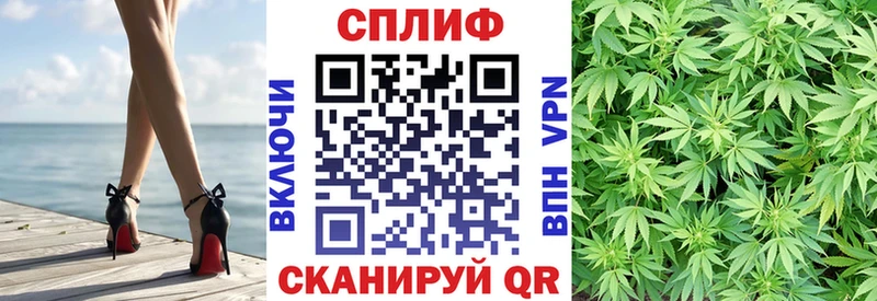 хочу   Ржев  Марихуана сатива 